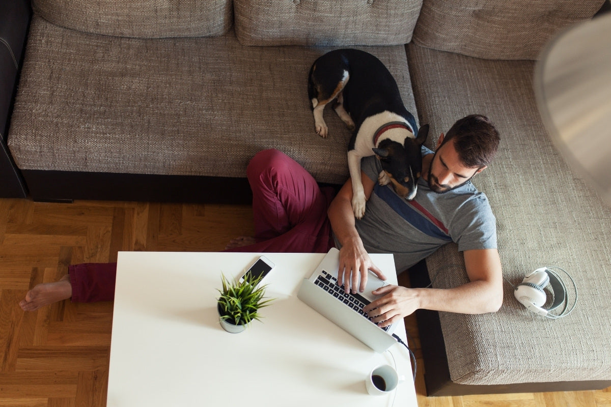 Ways to Make Working From Home Fun | Nomad Internet